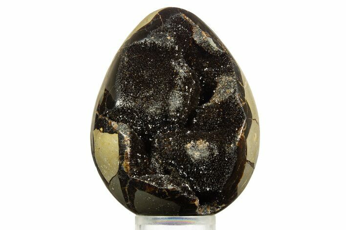 Septarian Dragon Egg Geode - Sparkly Black Crystals #344436